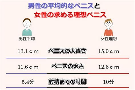 勃起長さ平均|ペニスの平均的な長さと太さとは？複数の研究データ。